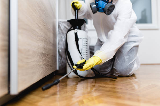 Best Flea Control Services  in Lake Isabella, MI