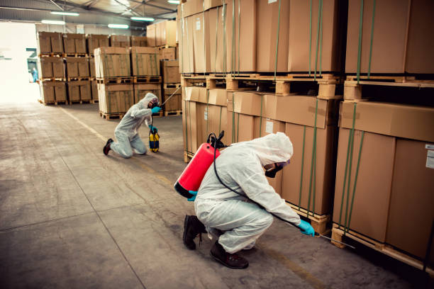 Best Wildlife Control Services  in Lake Isabella, MI
