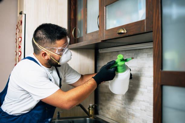 Best Affordable Pest Control Services  in Lake Isabella, MI