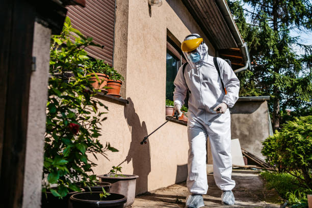 Best Bed Bug Extermination  in Lake Isabella, MI