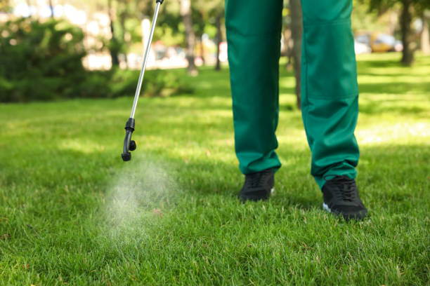 Best Termite Control Services  in Lake Isabella, MI