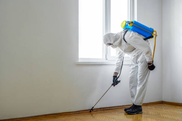 Best Residential Pest Control  in Lake Isabella, MI