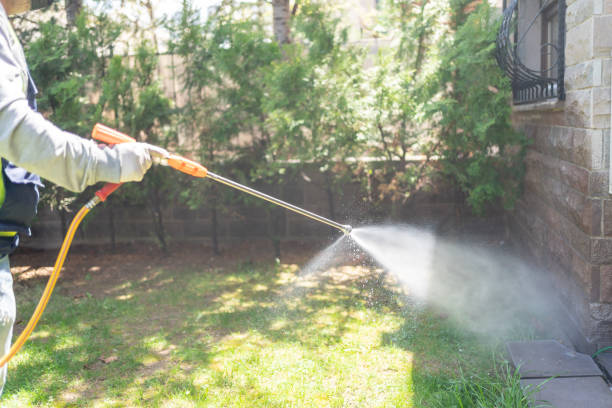 Best Local Pest Control Services  in Lake Isabella, MI