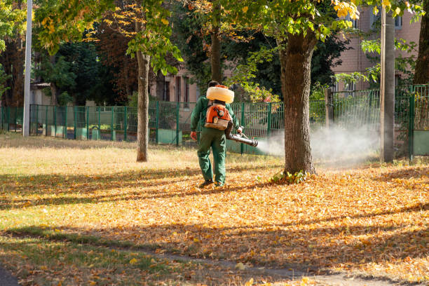 Best Pest Prevention Services  in Lake Isabella, MI