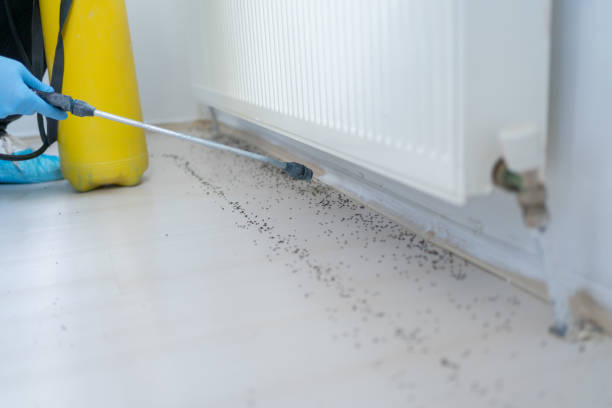 Best Emergency Pest Control  in Lake Isabella, MI
