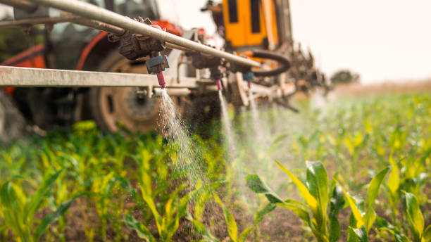 Best Best Pest Control Companies  in Lake Isabella, MI