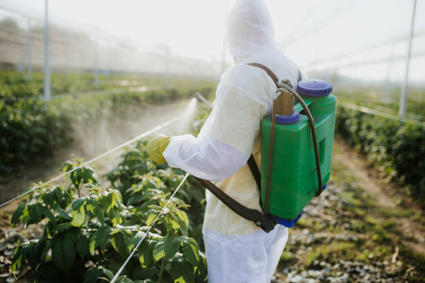 Lake Isabella, MI Pest Control Company